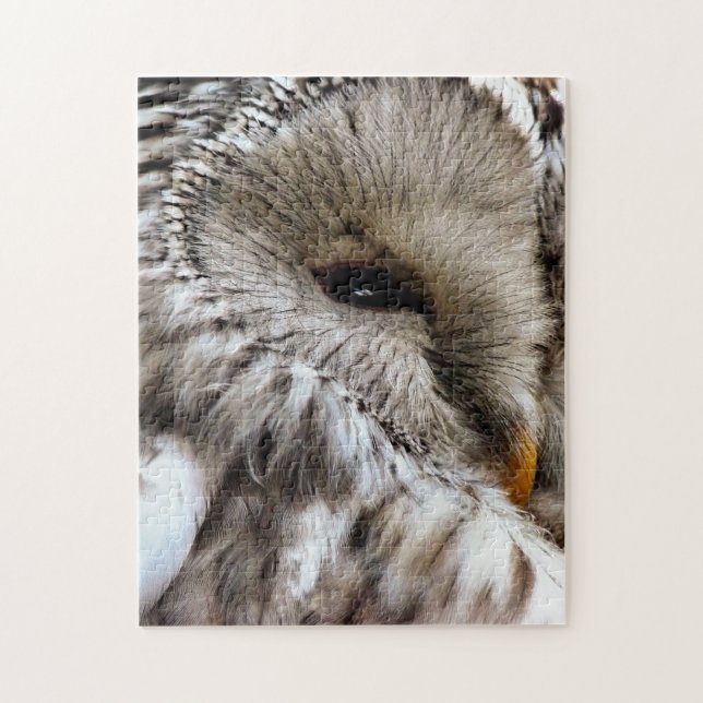 PUZZLE OWLS (Vertical)