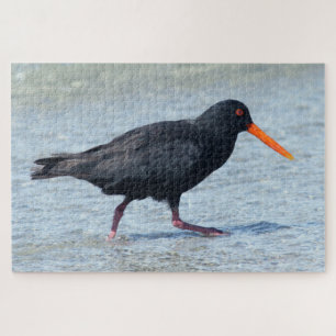 Puzzle OYSTERCATCHER 20x30 PULGADAS