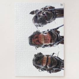 Puzzle Paarden in de mond gekeken. 3 paarden lachend.