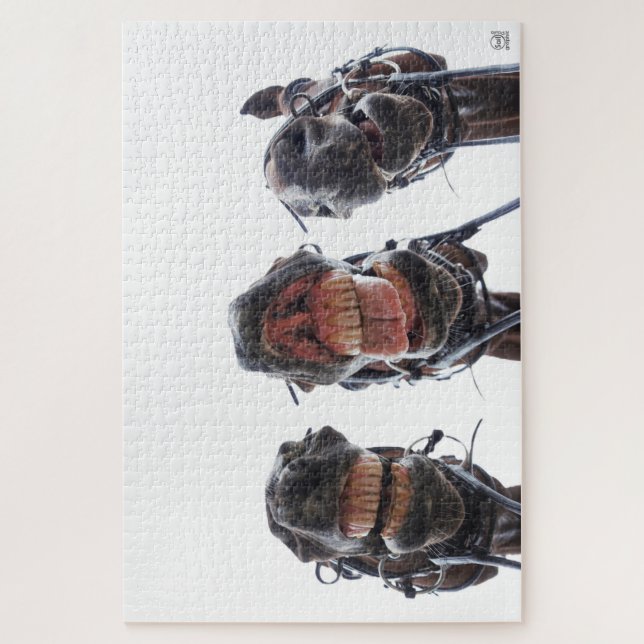 Puzzle Paarden in de mond gekeken. 3 paarden lachend. (Vertical)