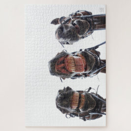 Puzzle Paarden in de mond gekeken. 3 paarden lachend. leg