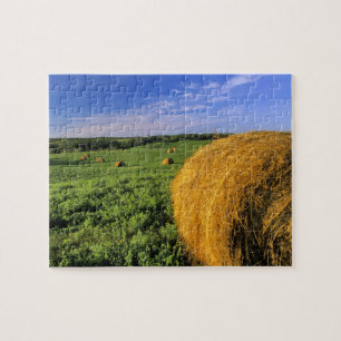 Puzzle Pacas de heno cerca de Bottineau Dakota del Norte