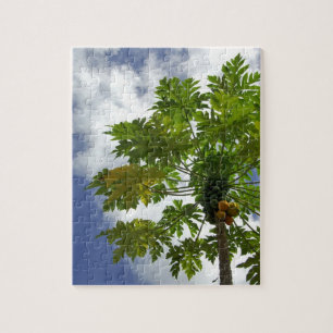 Puzzle Pacífico Sur, Polinesia Francesa, Marruecos.2