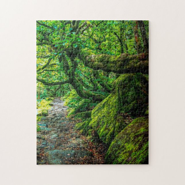 Puzzle Padley Gorge, Debryshire (Vertical)