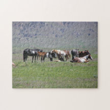 puzzle - Painted Horses