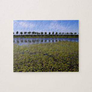 Puzzle Paisaje