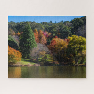 Puzzle Paisaje colorido del árbol de otoño, 520 piezas