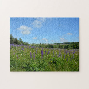 Puzzle Paisaje con lupinos  -
