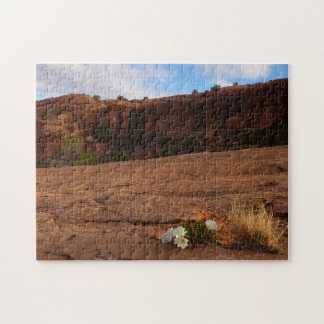 Puzzle Paisaje de Arcos Slickrock y Primorosa Nocturna (Horizontal)