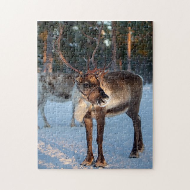 Puzzle Paisaje de Bonito de montaña de nieve de reno de i (Vertical)