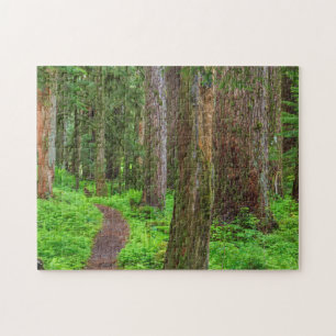 Puzzle Paisaje de bosque maduro