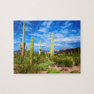 Puzzle Paisaje de cactus del desierto, Arizona