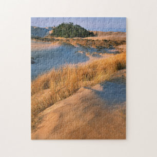 Puzzle Paisaje de las dunas de arena de Oregón