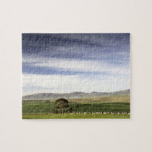 Puzzle Paisaje del campo de trigo, área de Caledon,
