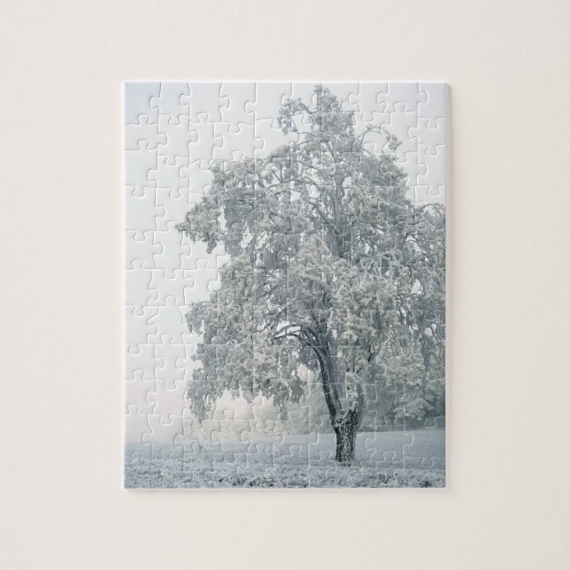 Puzzle Paisaje del invierno Nevado (Vertical)