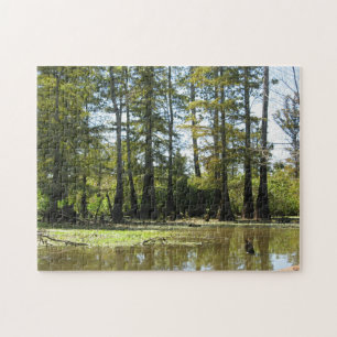 Puzzle Paisaje del pantano del ciprés