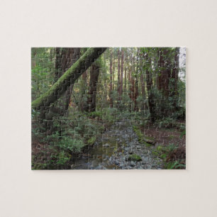 Puzzle Paisaje forestal de Muir Woods Stream