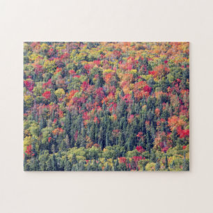 Puzzle Paisaje forestal de otoño