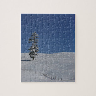 Puzzle Paisaje frío 4 del invierno Nevado