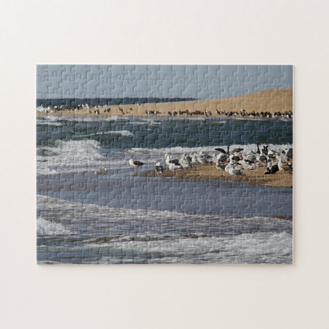 Puzzle Paisaje marino de Cape Cod con los pájaros de (Horizontal)