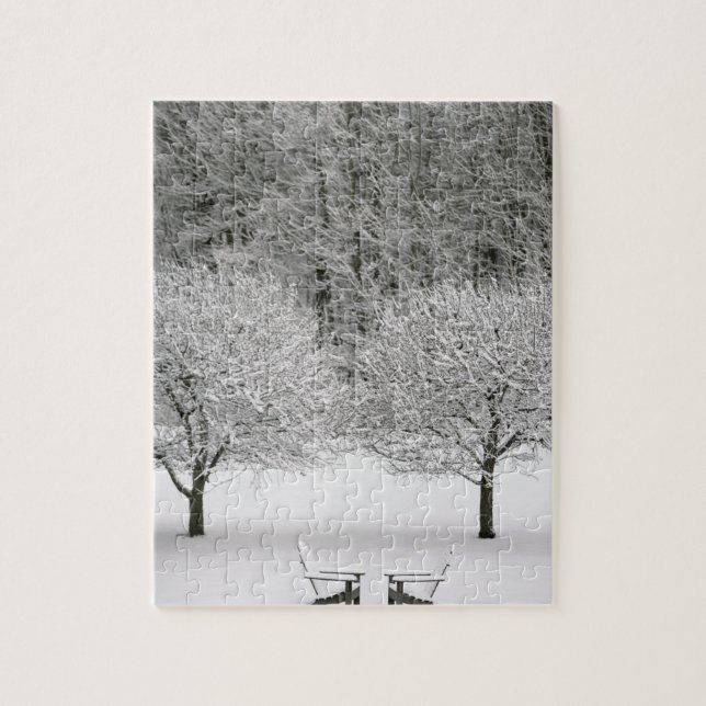 Puzzle Paisaje nevado (Vertical)