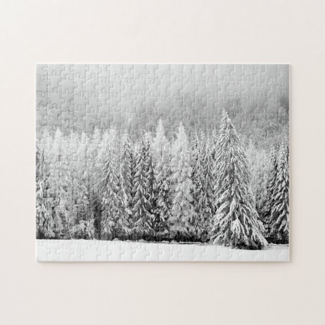 Puzzle Paisaje nevado (Horizontal)
