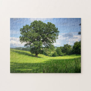 Puzzle Paisaje verde arbolado