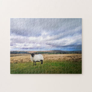Puzzle Paisaje y oveja Devon Inglaterra