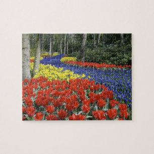 Puzzle Países Bajos, Holanda, Lisse, Jardines Keukenhof