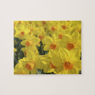 Puzzle Países Bajos, Holanda, Lisse, Keukenhof Gardens,