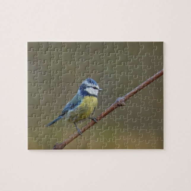 Puzzle Pajarito azul (Horizontal)