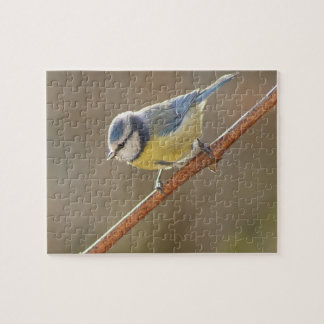 Puzzle Pajarito azul