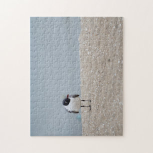 Puzzle Pajarito de Gull Beach