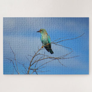 Puzzle pájaro brillante