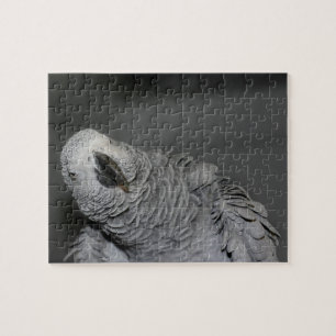 Puzzle Pájaro canoso de loro negro