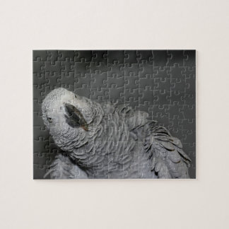 Puzzle Pájaro canoso de loro negro
