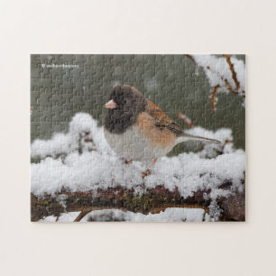 Puzzle Pájaro Cantor Junco Ojos Oscuros en Cerca Nevada