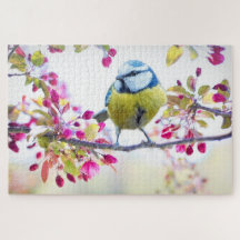 Pájaro Carbonero de Primavera Rama Azul de la Natu