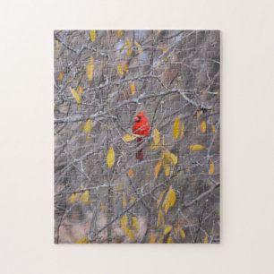 Puzzle Pájaro cardenal rojo en la naturaleza del árbol de