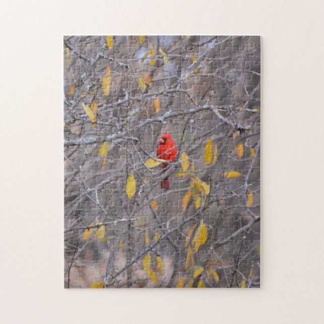 Puzzle Pájaro cardenal rojo en la naturaleza del árbol de (Vertical)