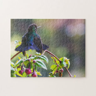 Puzzle Pájaro costarricense - Hummingbird