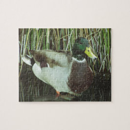 Puzzle Pájaro de agua de vida silvestre Mallard Duck Phot