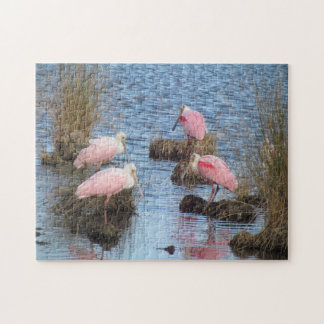 Puzzle Pájaro de agua rosado de los Spoonbills del