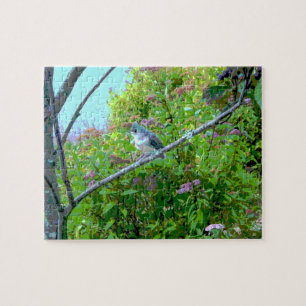Puzzle Pájaro de bebé flameado de tiburón