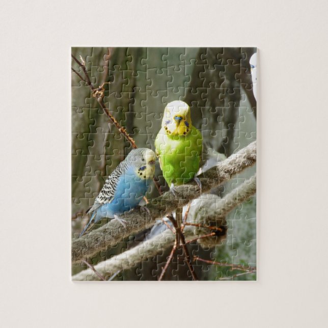 Puzzle Pájaro de Budgie (Vertical)