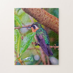 Puzzle Pájaro de Costa Rica - Colibrí de garganta ígnea