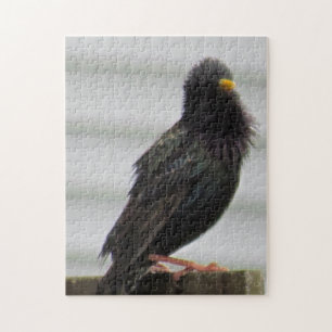 Puzzle Pájaro de rumbo difuso