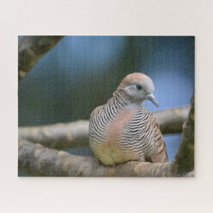 Puzzle Pájaro en un borde de árbol