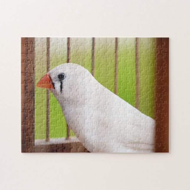 Puzzle Pájaro finco de cebra blanca en jaula (Horizontal)