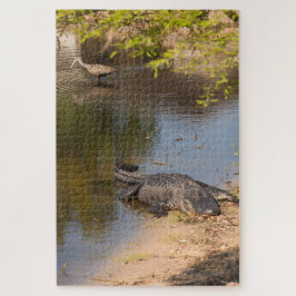 Puzzle Pájaro lagarto en los pantanos de Florida